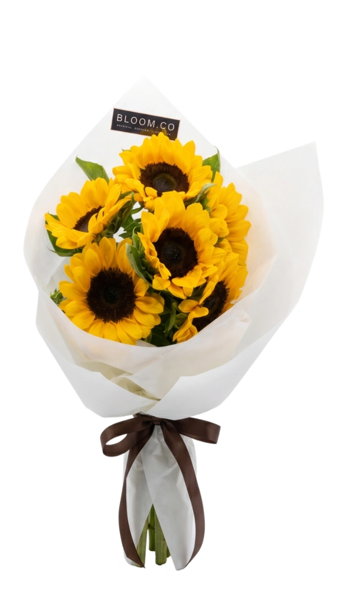 SCROLL INTO THE WORLD OF BLOOMS