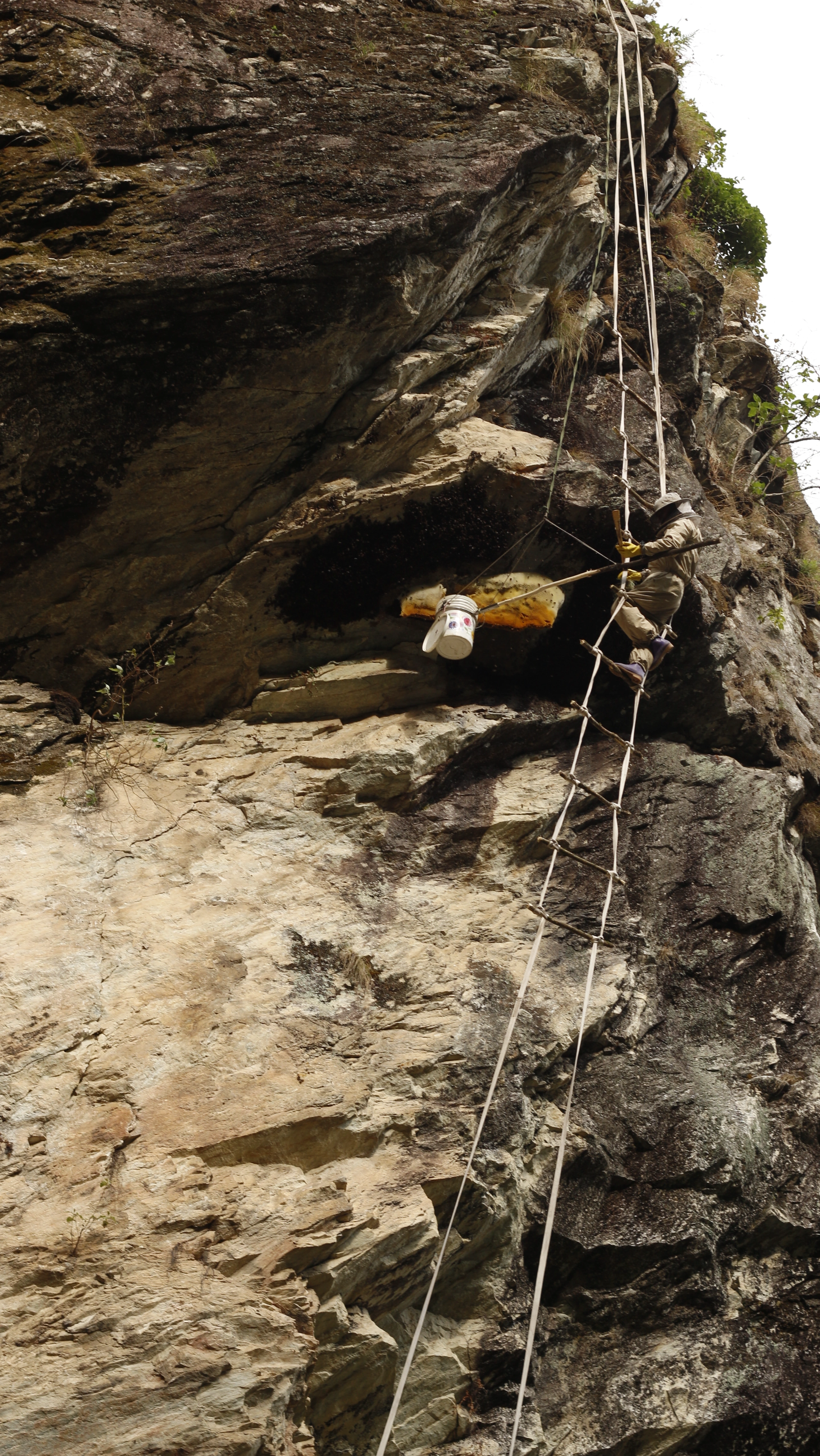 Featured Collection