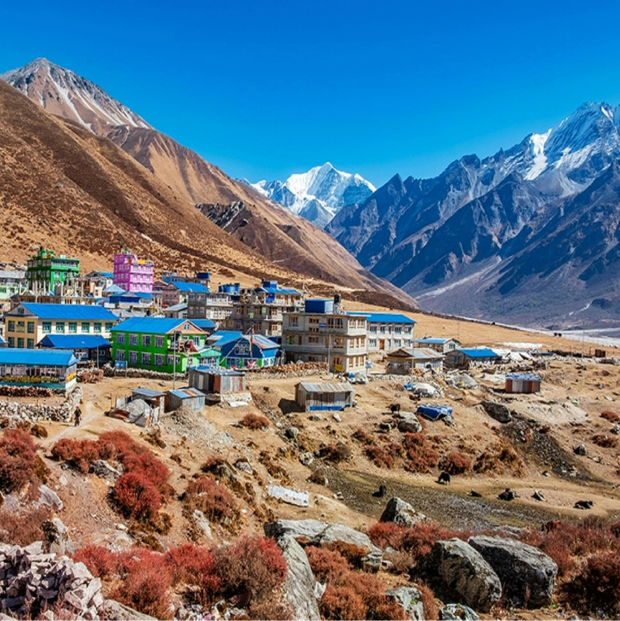 LANGTANG- Ri