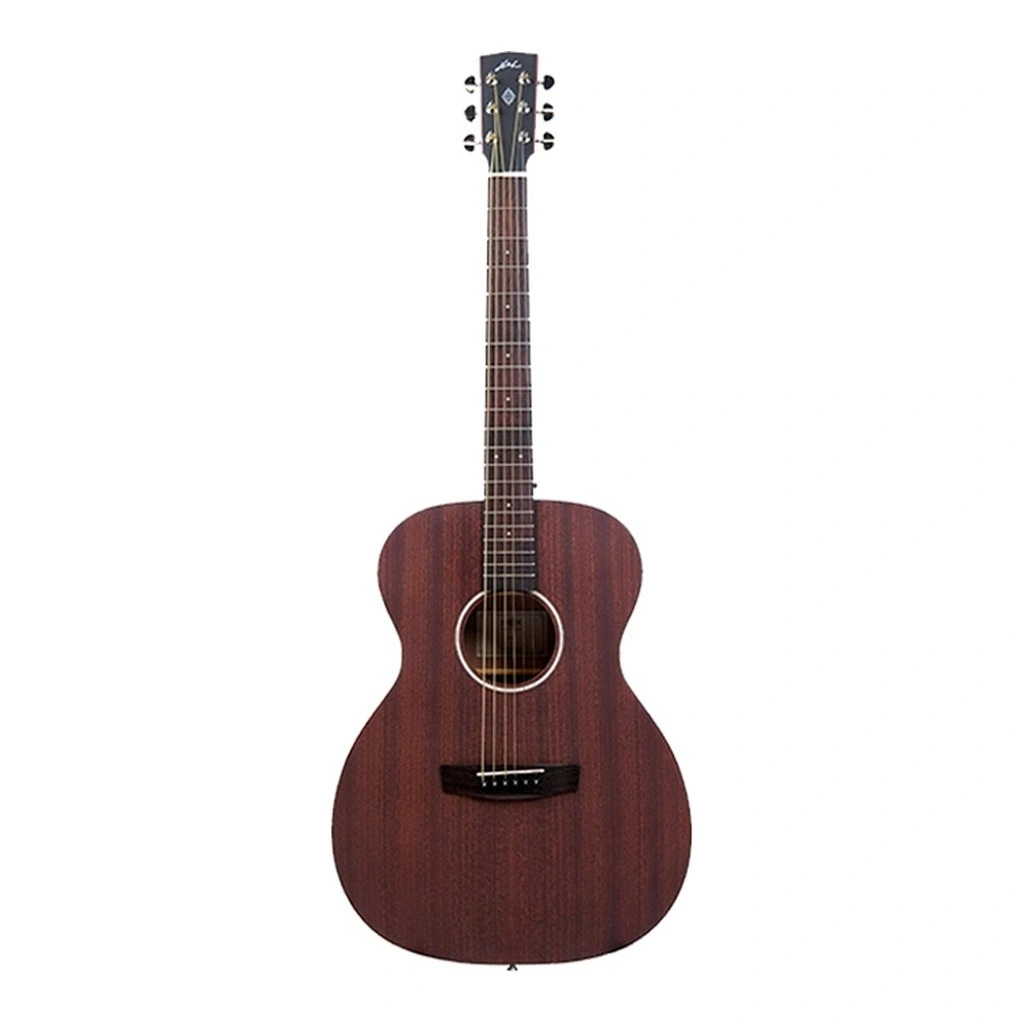 Hex F72 Acoustic Guitar 1