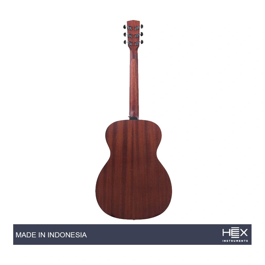 Hex F72 Acoustic Guitar 2