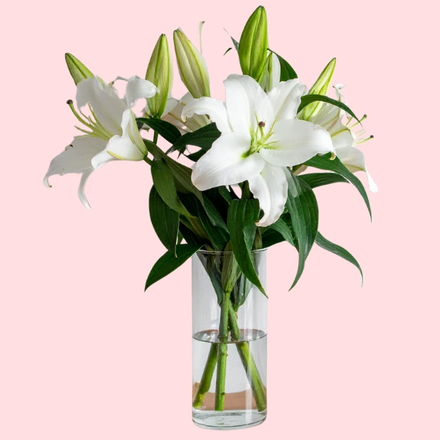 The Fairy Vase Collection