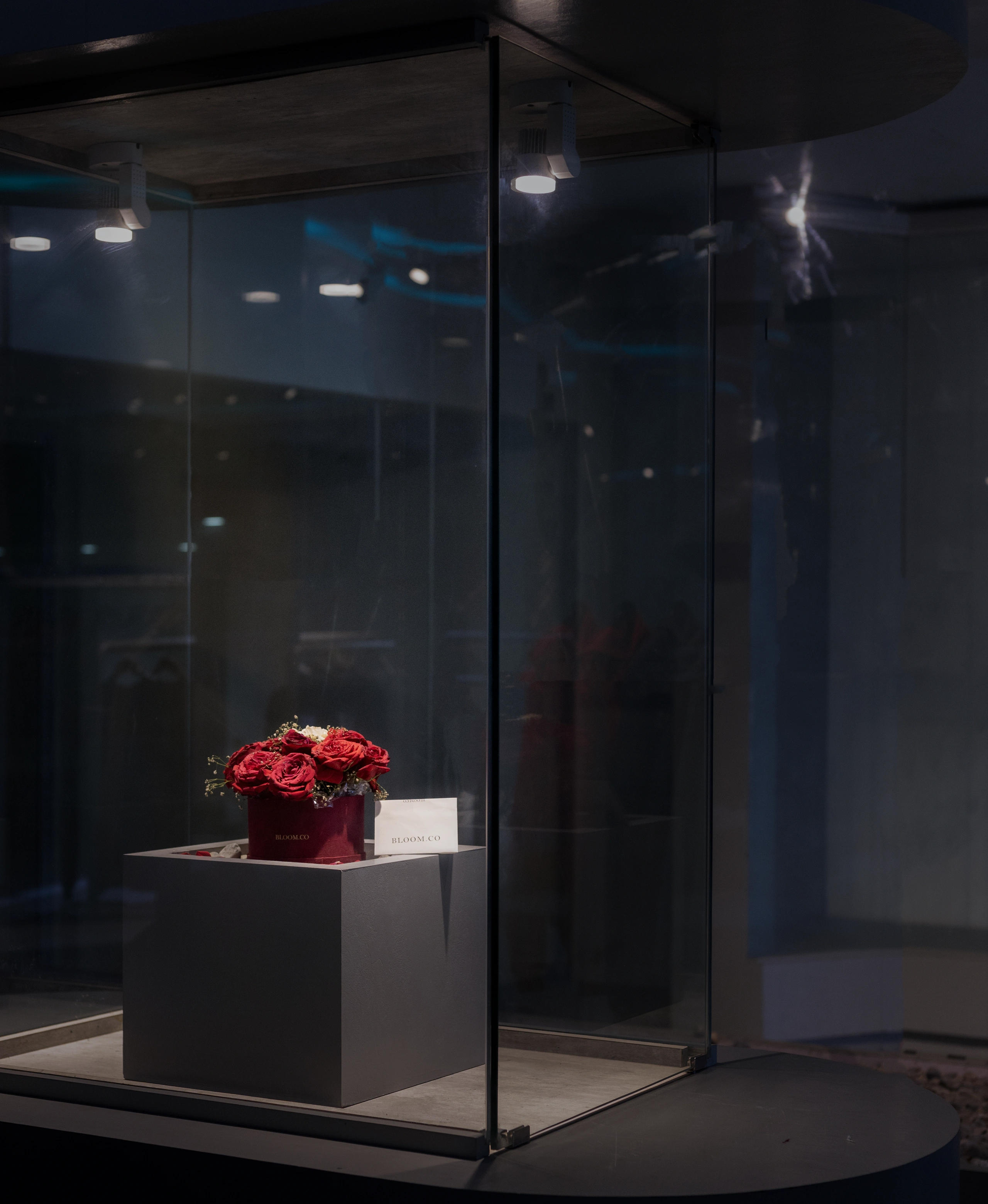 LUXE BLOOMS