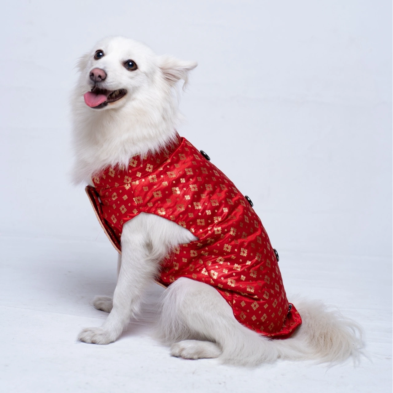 Red Crystal Pattern Festive Sherwani for Dogs – Premium Ethnic Wear 1