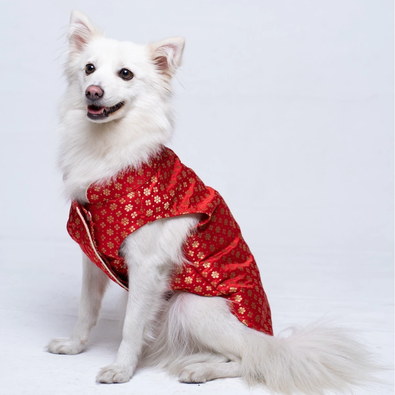 Red Flower Pattern Festive Sherwani for Dogs – Traditional & Stylish Ethnic Wear 1