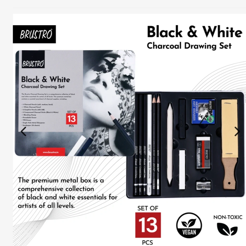 BRUSTRO Black and White Charcoal Drawing Set of 13 Pcs in a Metal Box| Ideal For Sketching, Shading, Blending, Illustration, Portraits, Landscape and Fine Arts 1