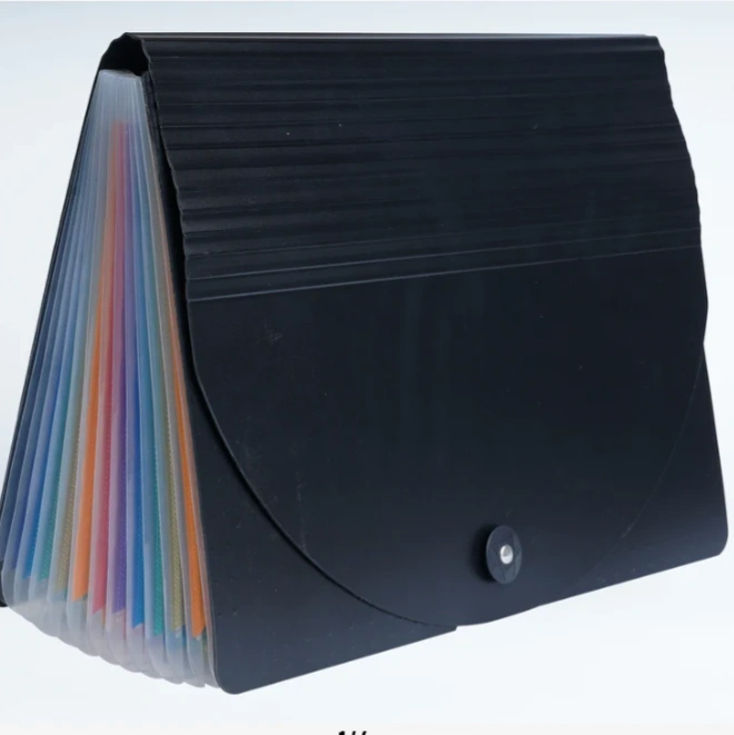 Brustro EZExpand A4 Folder 13 Pocket Expanding File Folder 1