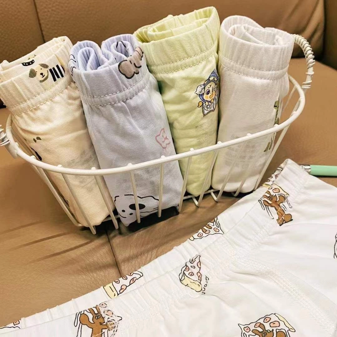 Premium Quality Kids Underwear 4PCS Set 6