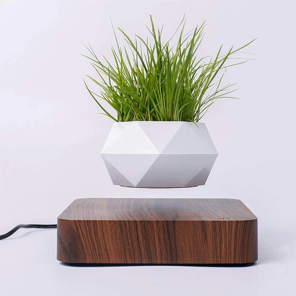 ID Studio Nepal Magnetic Levitating Plant Pot for Home, Office Desk and Table Décor 3