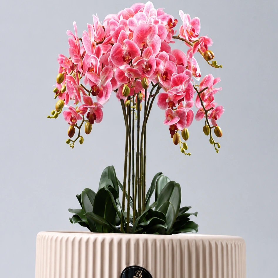 ID Studio Nepal Ceramic Indoor Planter Flower Pot for Orchids, Decorative Plants, Living Room, Bedroom, Office & Table Décor 3