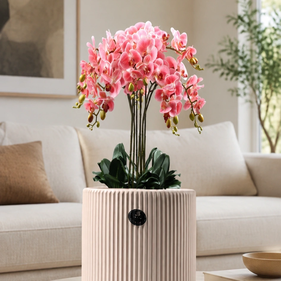 ID Studio Nepal Ceramic Indoor Planter Flower Pot for Orchids, Decorative Plants, Living Room, Bedroom, Office & Table Décor 2