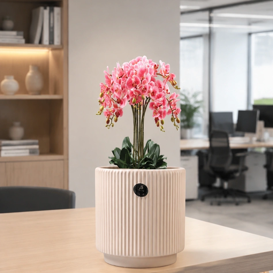ID Studio Nepal Ceramic Indoor Planter Flower Pot for Orchids, Decorative Plants, Living Room, Bedroom, Office & Table Décor 1