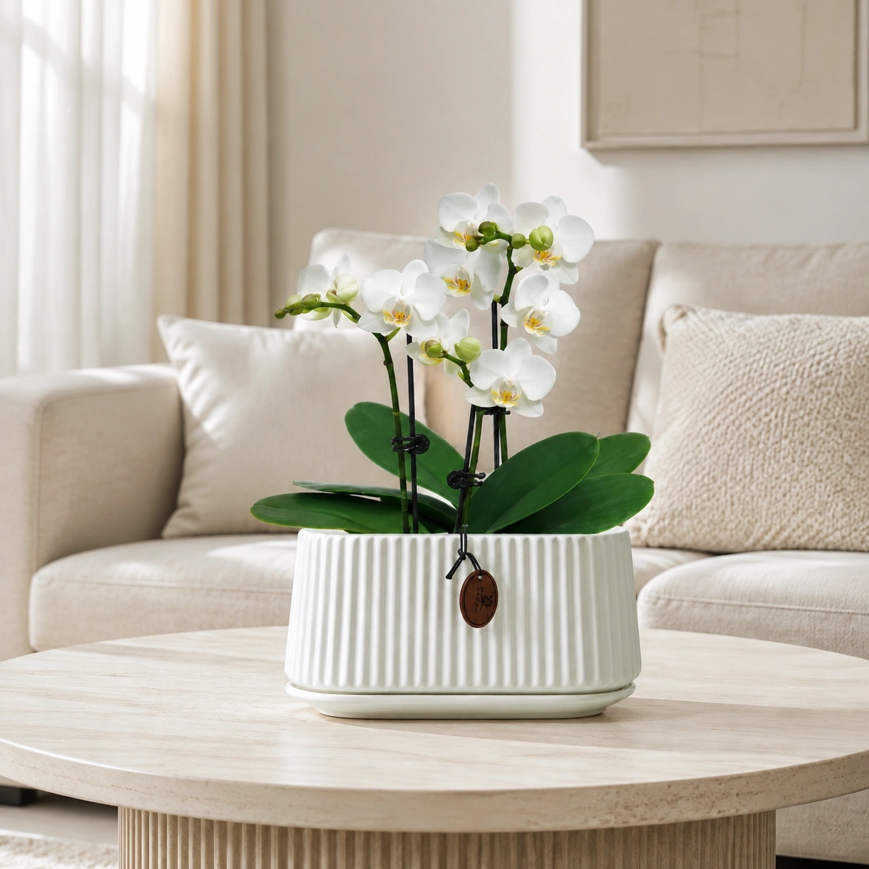 ID Studio Nepal Ceramic Orchid & Indoor Plant Pot for Living Room, Office Desk, Reception, Bedroom & Home Décor 1