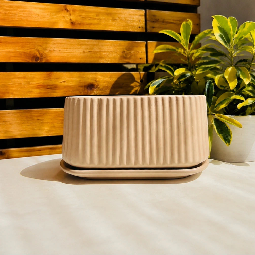 ID Studio Nepal Ceramic Modern Ribbed Planter for Indoor Plants, Succulents, Herbs, Tabletop Décor, Balcony & Office 1