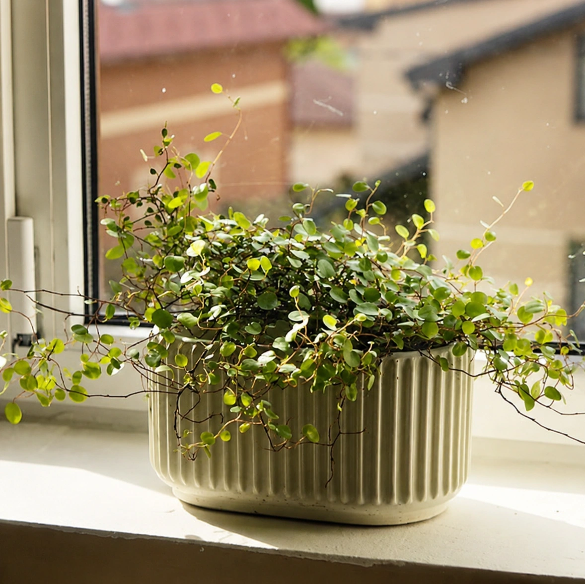 ID Studio Nepal Ceramic Planter Pot for Indoor Plants, Tabletop, Window Sills, Office Desks & Home Décor 1