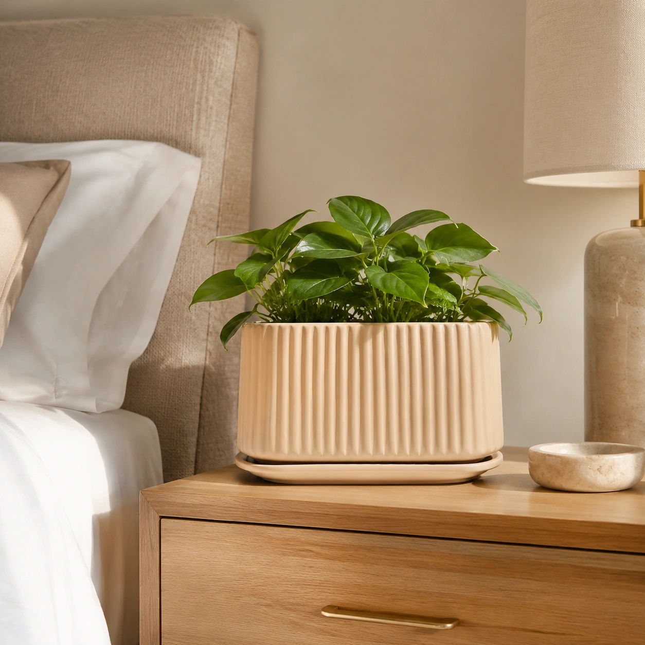 ID Studio Nepal Ceramic Modern Ribbed Planter for Indoor Plants, Succulents, Herbs, Tabletop Décor, Balcony & Office 2