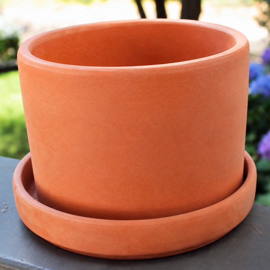 ID Studio Nepal Pine S Terracotta Plant Pot with Saucer – Indoor & Outdoor Planter for Home, Balcony 3