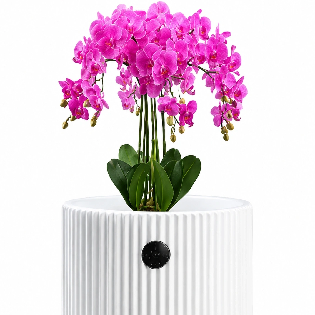 ID Studio Nepal Ceramic Planter Pot for Indoor Plants, Orchids, Living Room, Bedroom, Office, Balcony & Home Décor 2