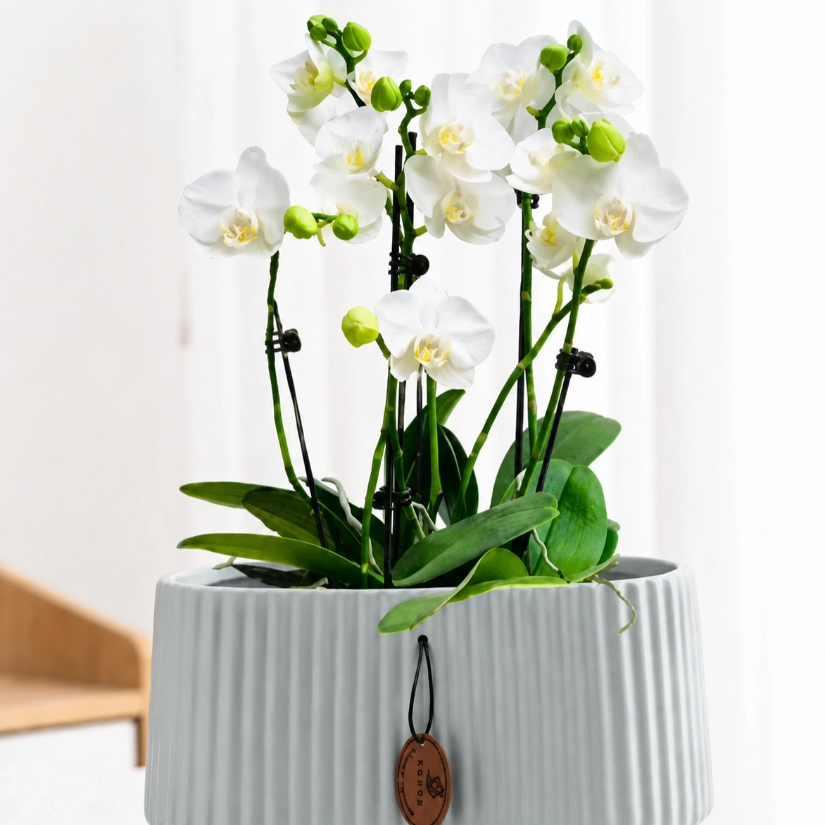 ID Studio Nepal Ribbed Ceramic Orchid & Bonsai Planter Pot with Matching Saucer for Tabletops, Desks, Shelves 3
